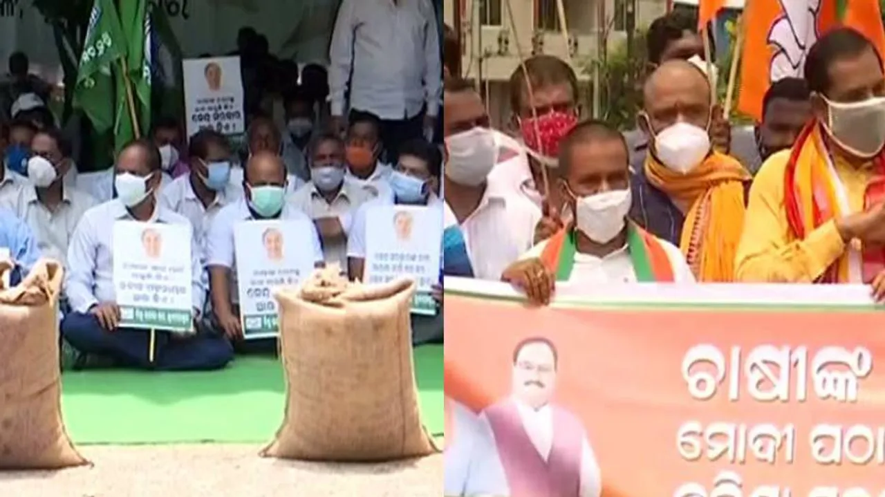 Mandi Row: BJD Stages Protest At FCI Godowns, BJP Terms It ‘Escapist Ploy’