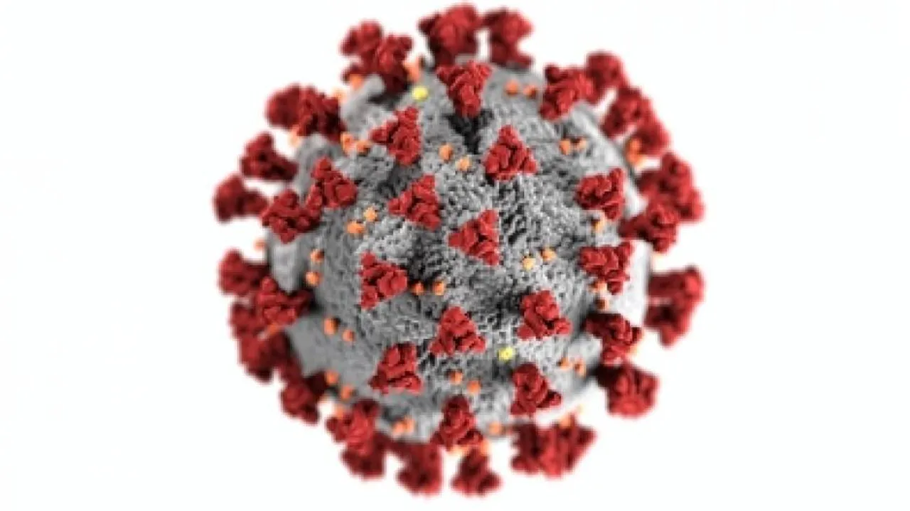 COVID-19 Virus Leaked From China's Wuhan Lab: US Republican Report