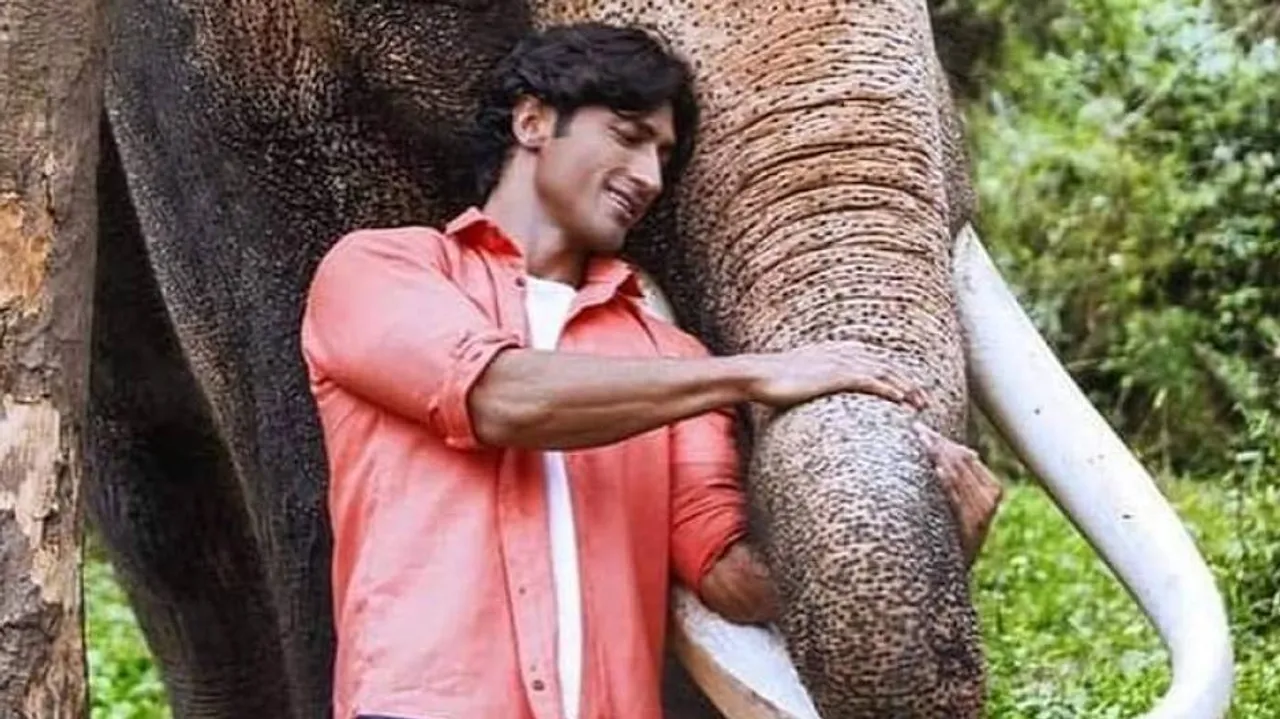 Vidyut Jammwal 