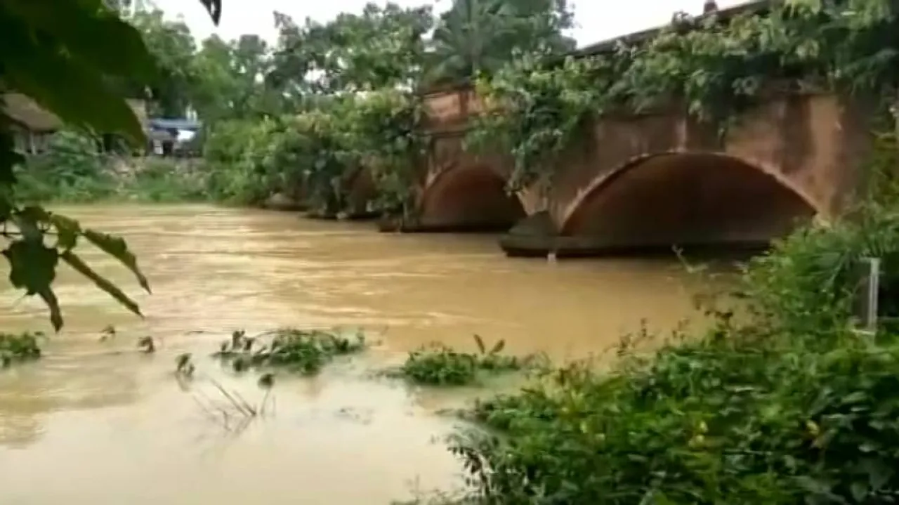  Jalaka River Swells 