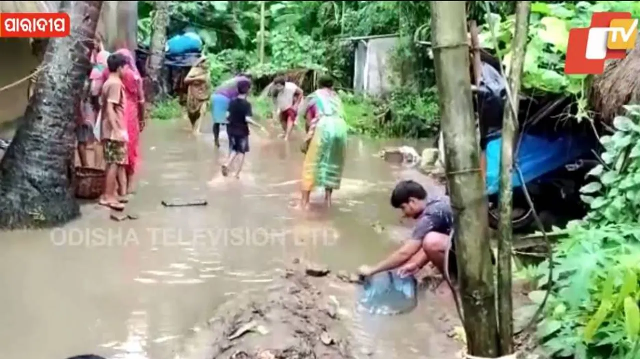 Bumper Catch! People Net Fish On Flooded Road In Paradip #WATCH