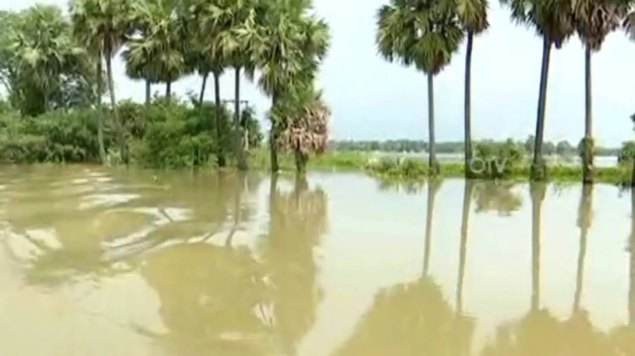 Odisha: 2 Minor Siblings Die After Drowning In Flood Water In Backyard Of House