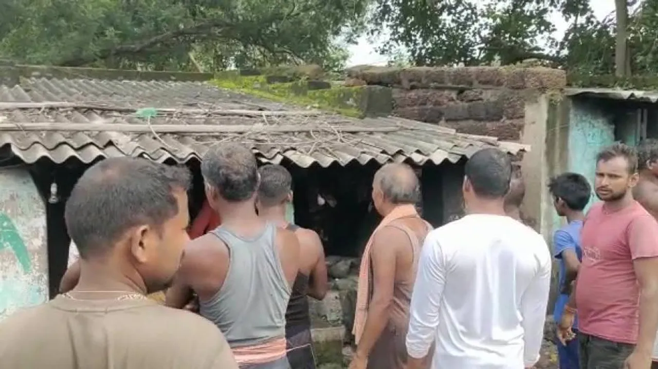 Tiffin Stall Owner In Cuttack Poisons 20 Stray Dogs To Death, FIR Lodged