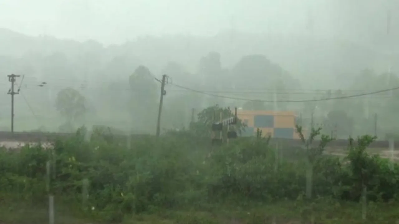 Rain In South Odisha