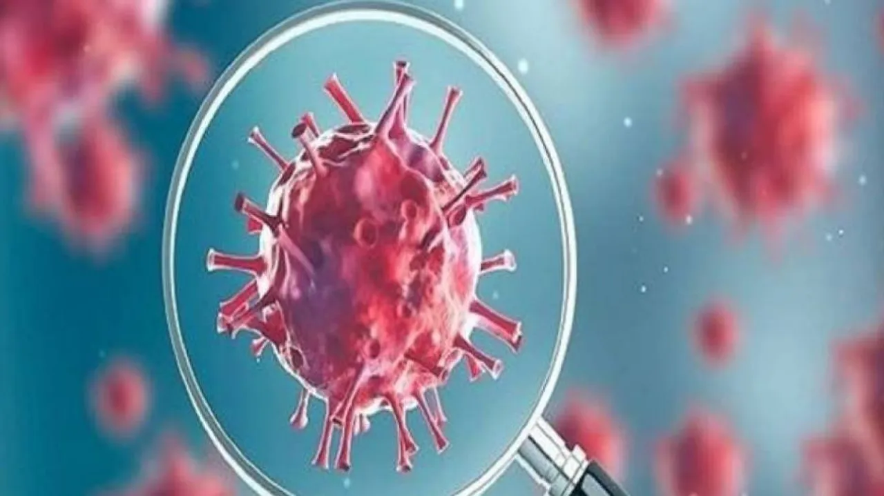 Number Of Weekly COVID-19 Cases And Deaths Continue To Decline Globally: WHO