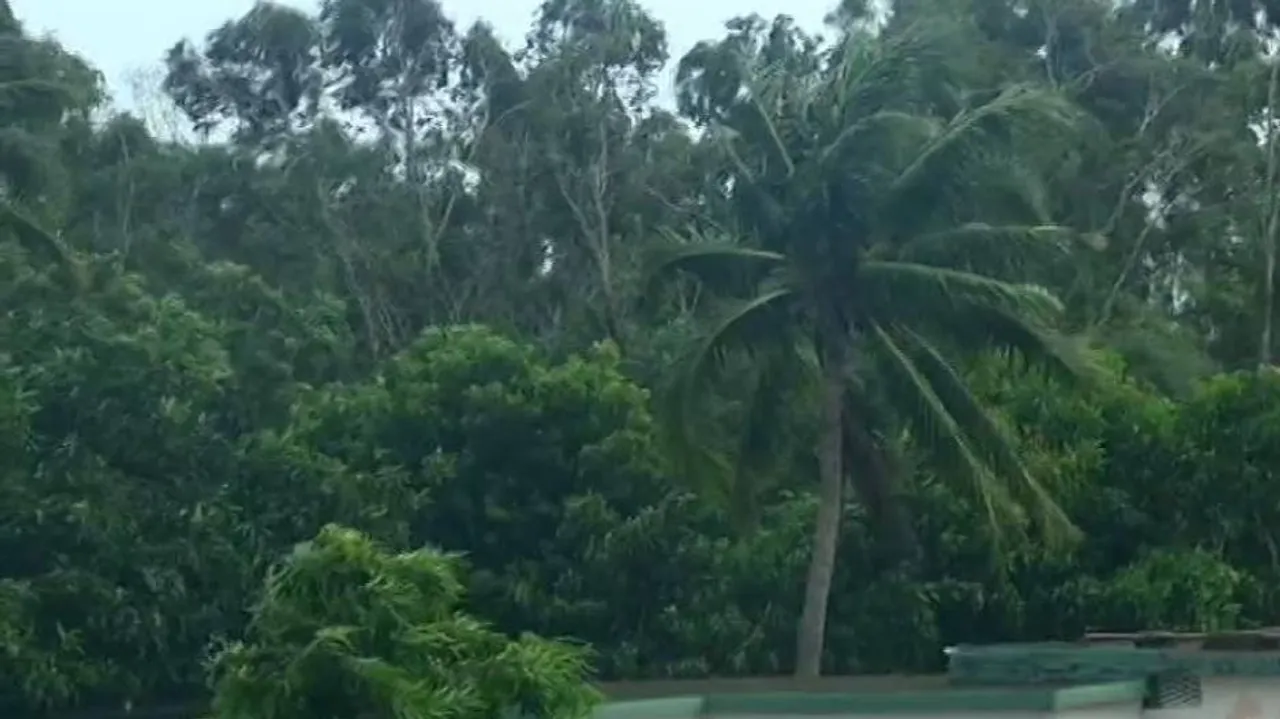 Cyclone Gulab Begins Landfall