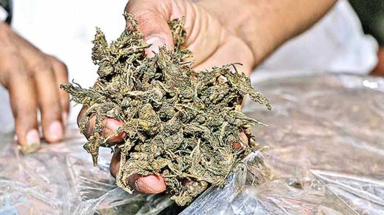 Ganja Smuggling Odisha