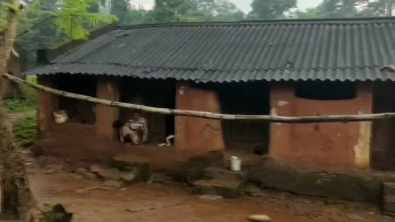 House Of Mankadia Tribe In Mayurbhanj
