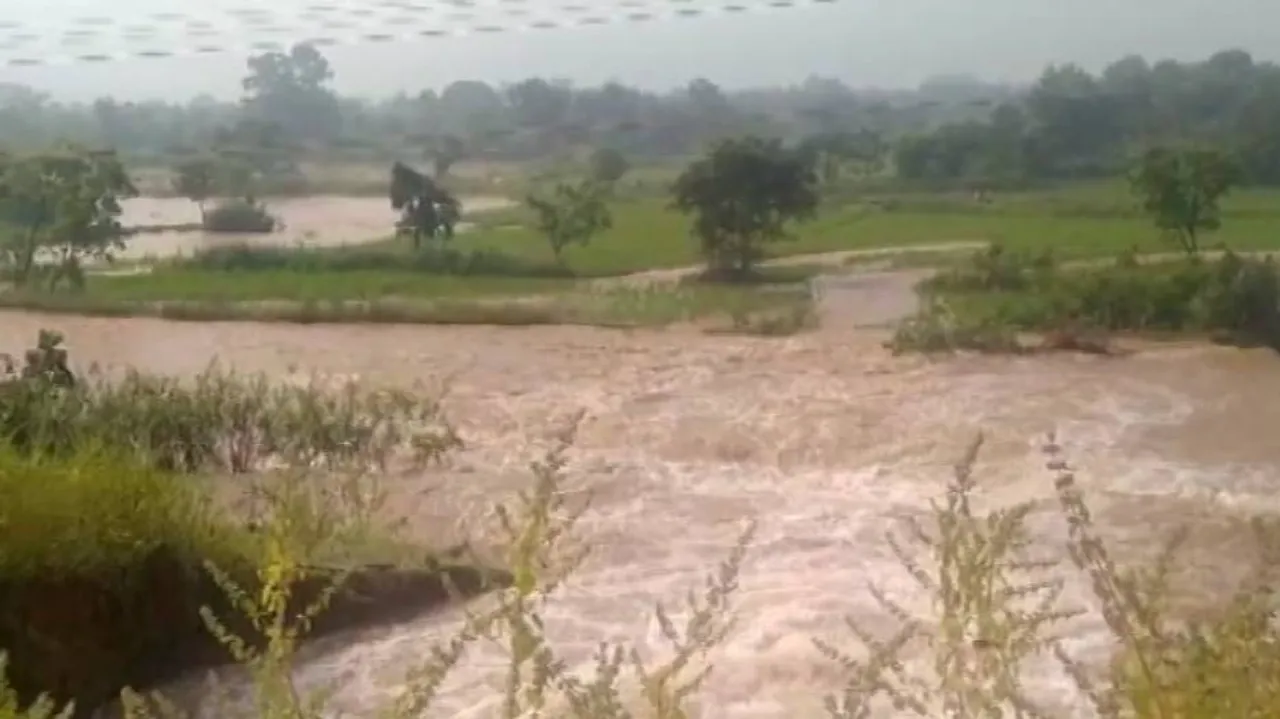 Breach In Indravati South Canal Embankment 