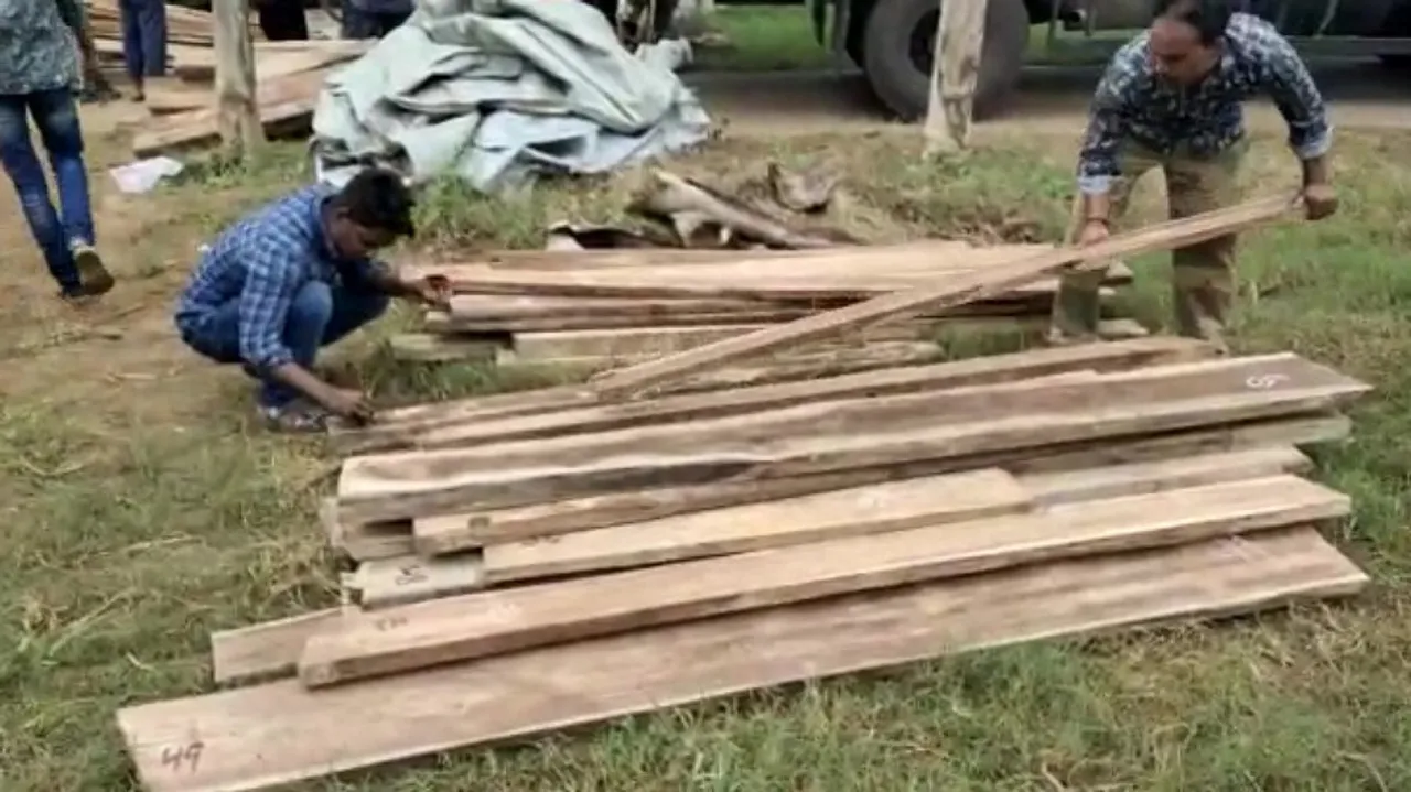 Wood smuggling 