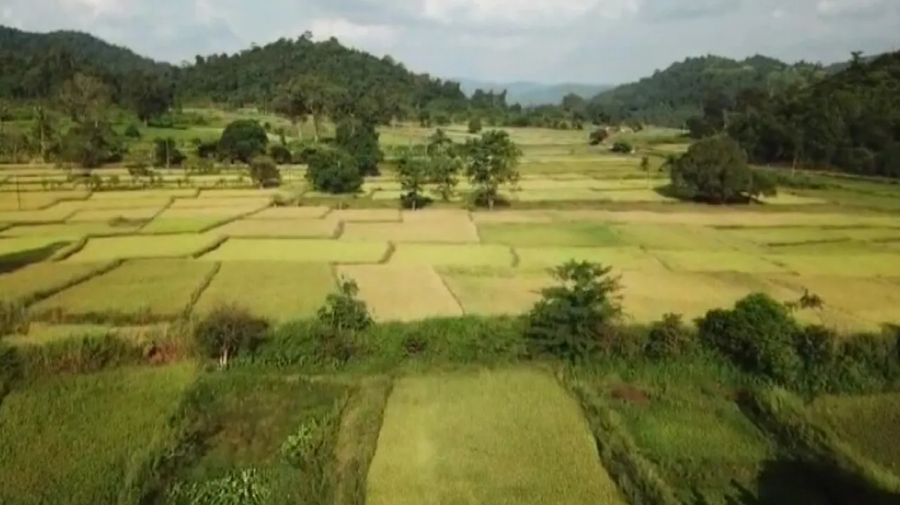 Odisha Maoist Hotbed Transforming From Haven Of Ganja To Garden Of Paradise