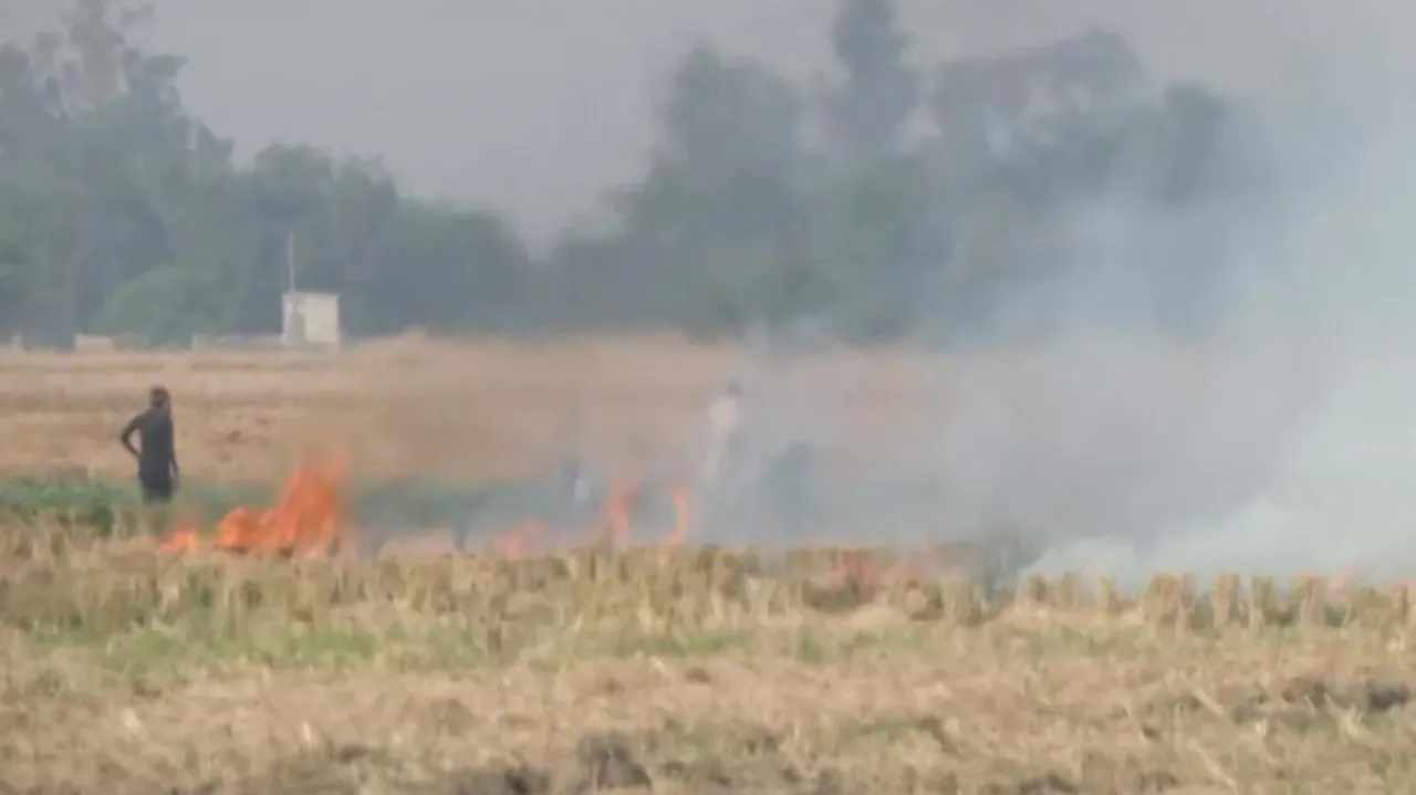 stubble burning