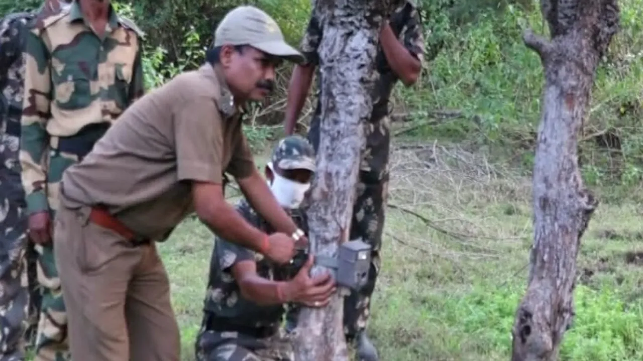 Bhitarkanika National Park