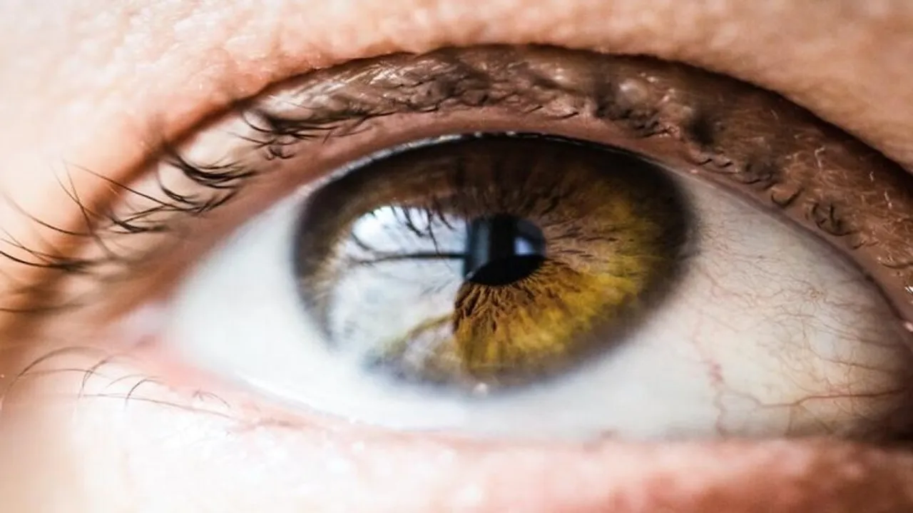 Australian Researchers Set New Sights For Bionic Eye