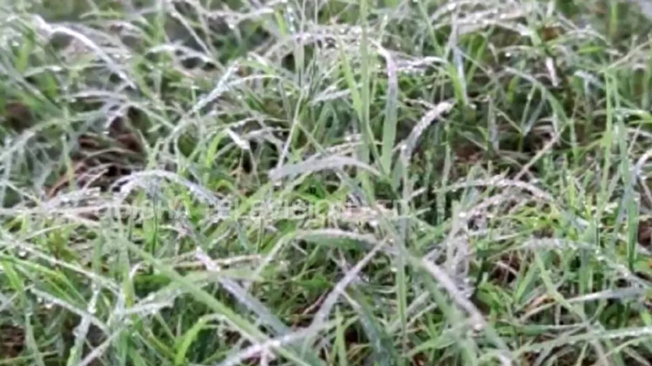 Phulbani Coldest Place