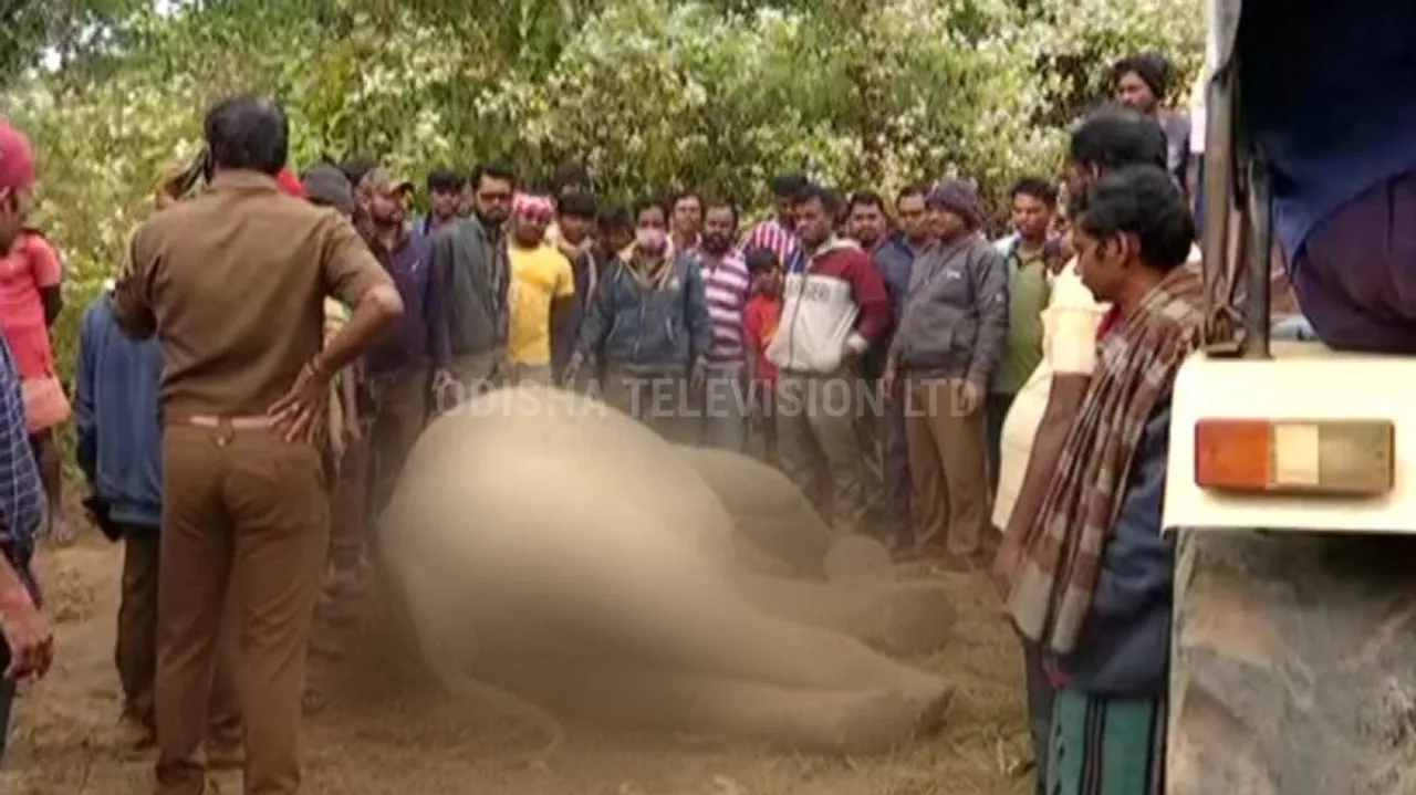Odisha Forest Dept Terms Death Of Two Elephants In Khordha ‘Accidental’