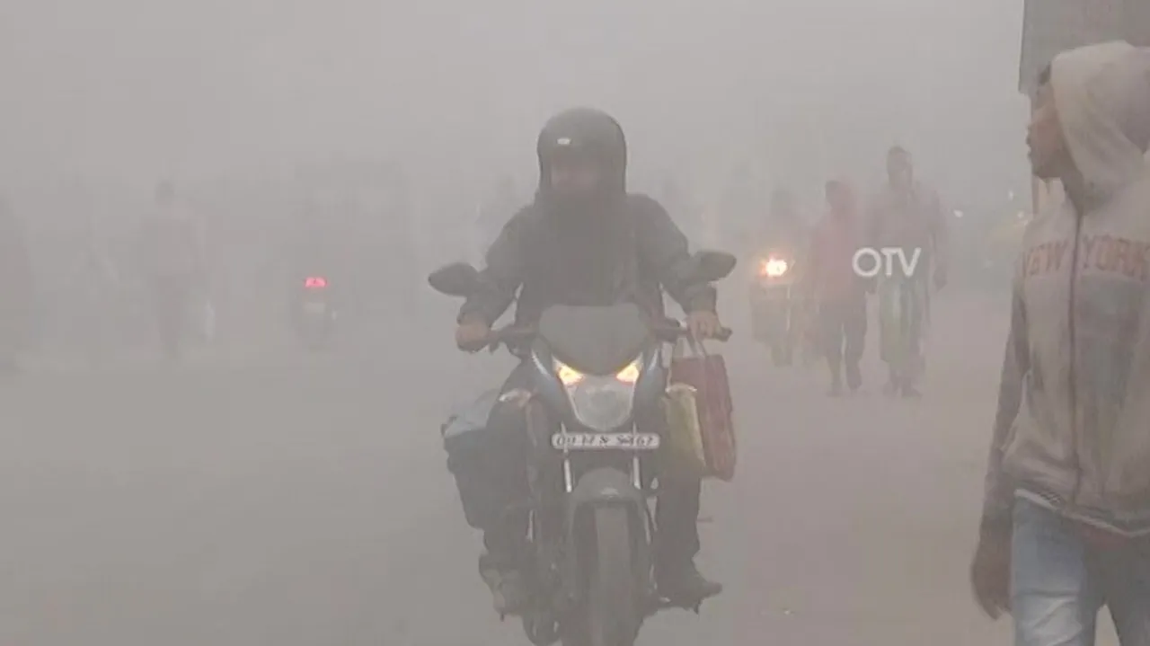 Odisha Weather Update: Minimum Temp To Fall, Check IMD’s Forecast For Cold Wave