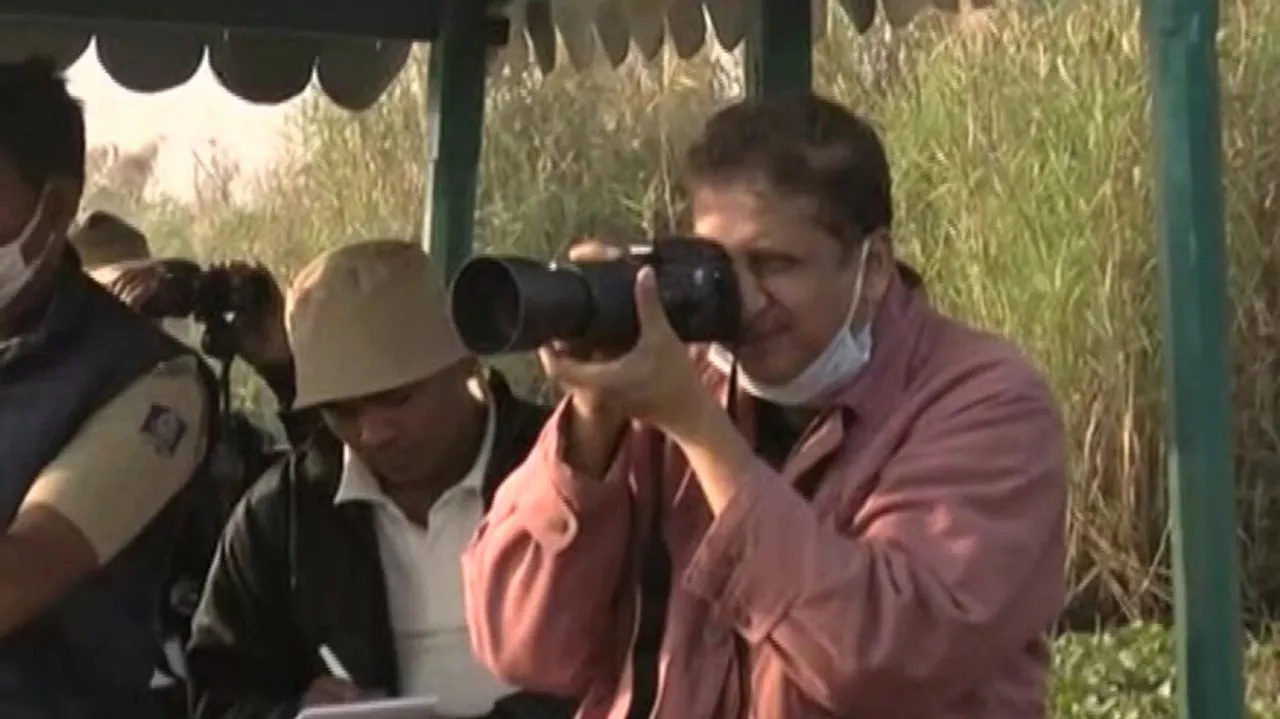 Annual Bird Census