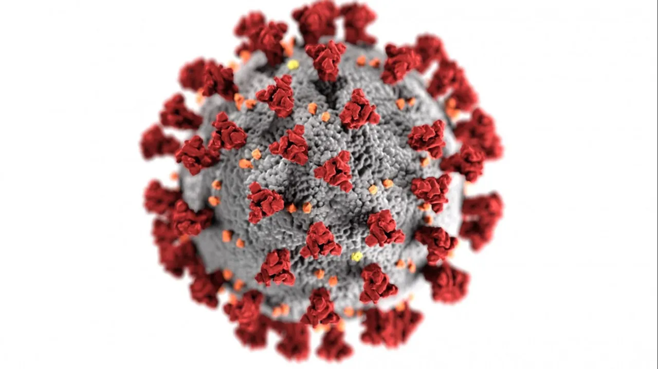 Surge In Cases Indicative Of Third Covid Wave In India: Expert