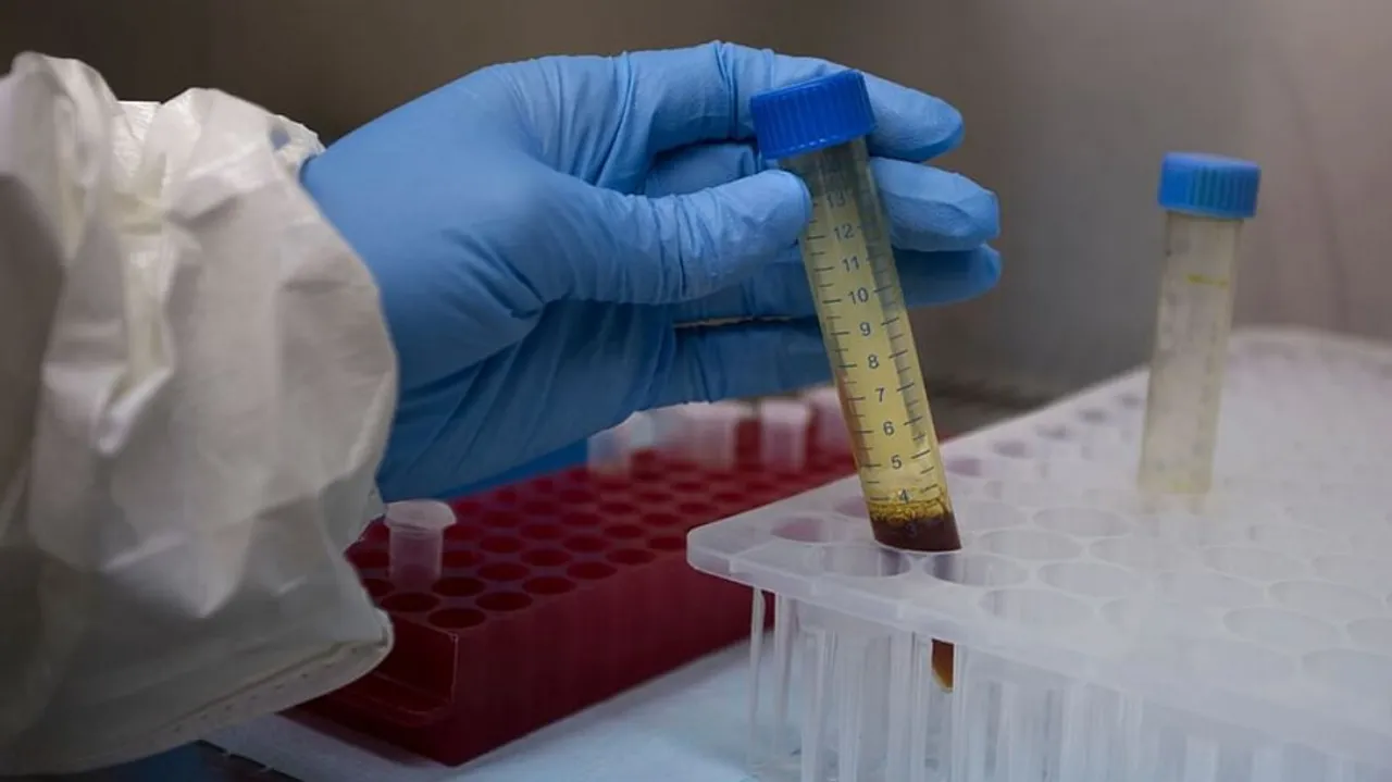 Phytochemicals Discovered In Himalayan Plant Buransh That Inhibit COVID-19 Virus