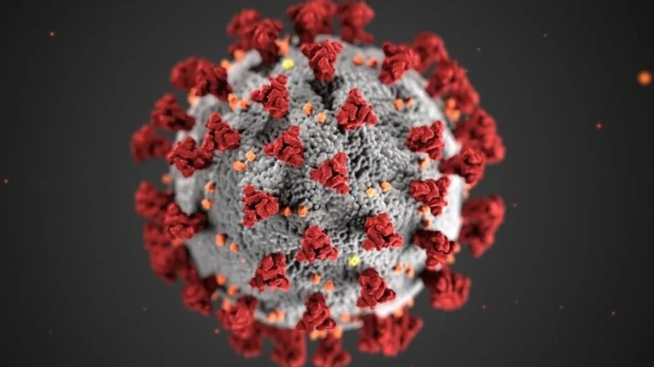 Omicron Infected Have Significant Immune Response, Can Neutralise Omicron, Delta: ICMR