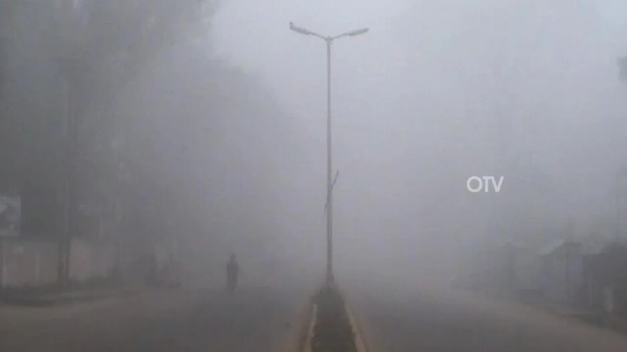 Cold Wave: Yellow Alert Sounded For These Odisha Districts, Read IMD’s Advisory