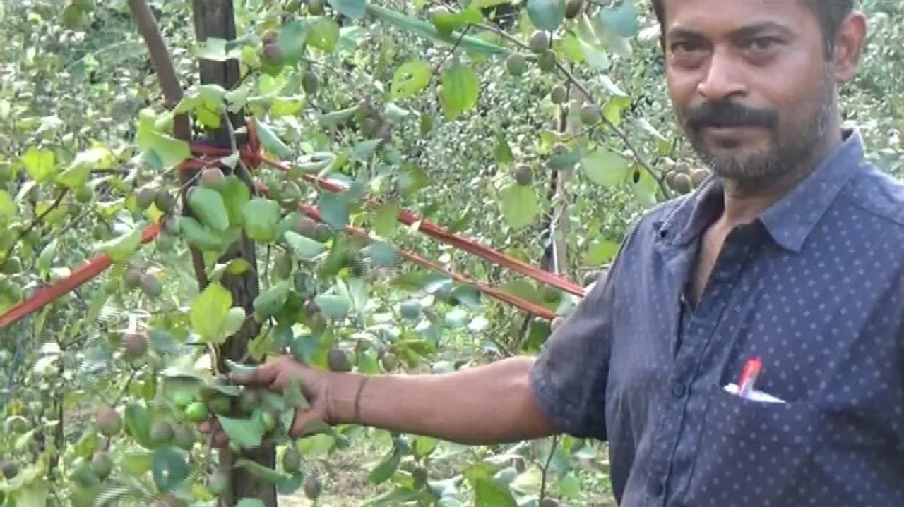 From Cook to Farmer: Odisha Man Scripts Inspiring Success Story 
