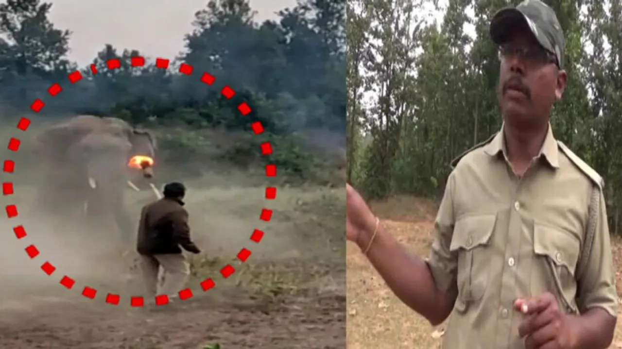 Brave Forest Guard Chitta Ranjan
