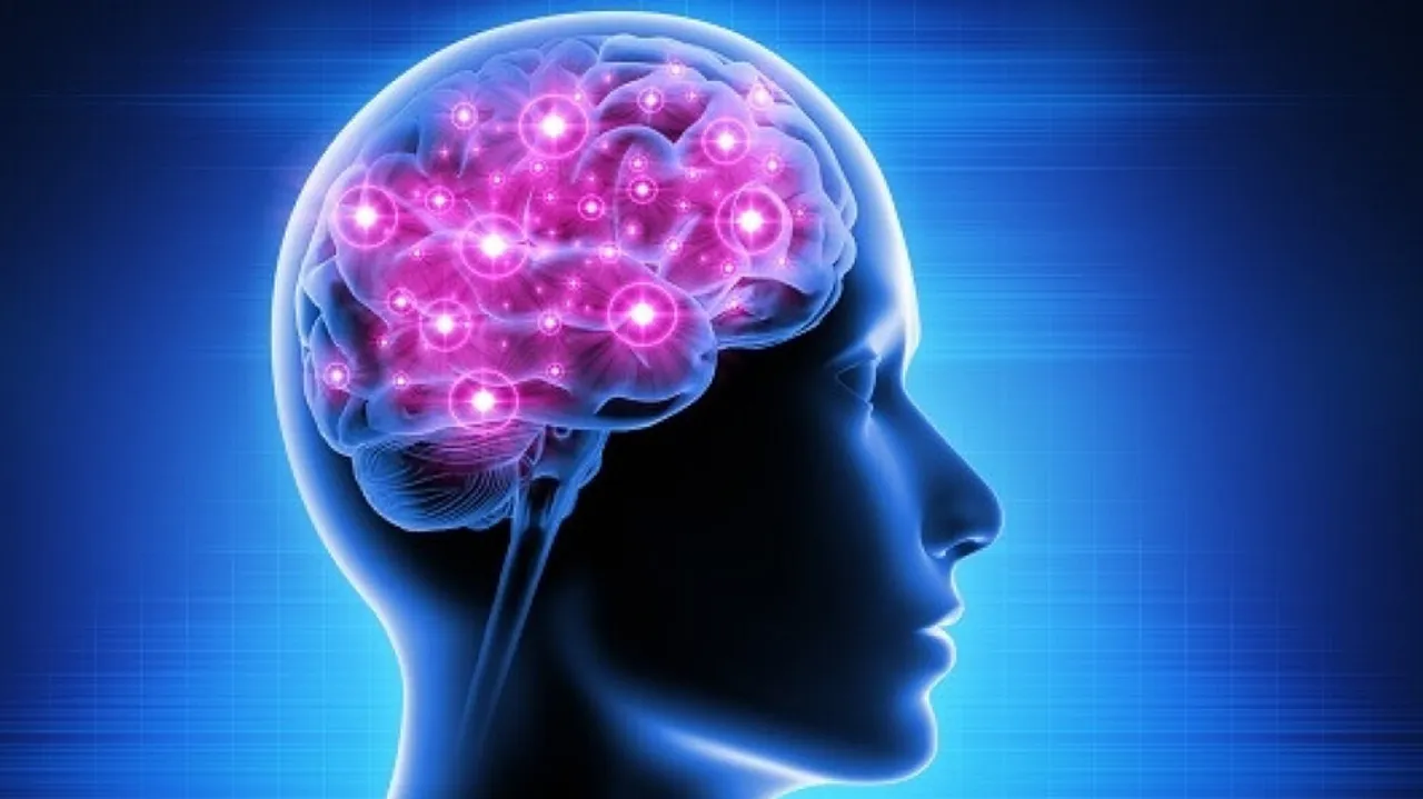 Astronaut's Brains