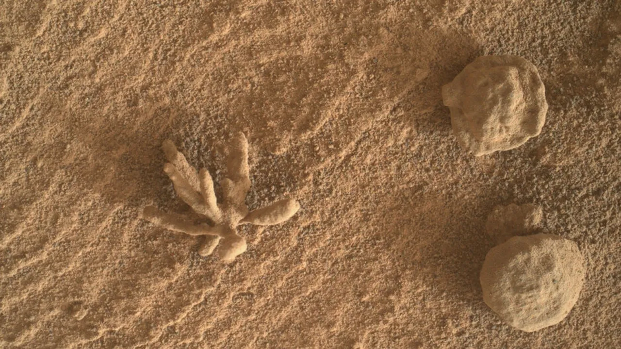 Curiosity Rover Images Tiny 'Mineral Flower' On Mars