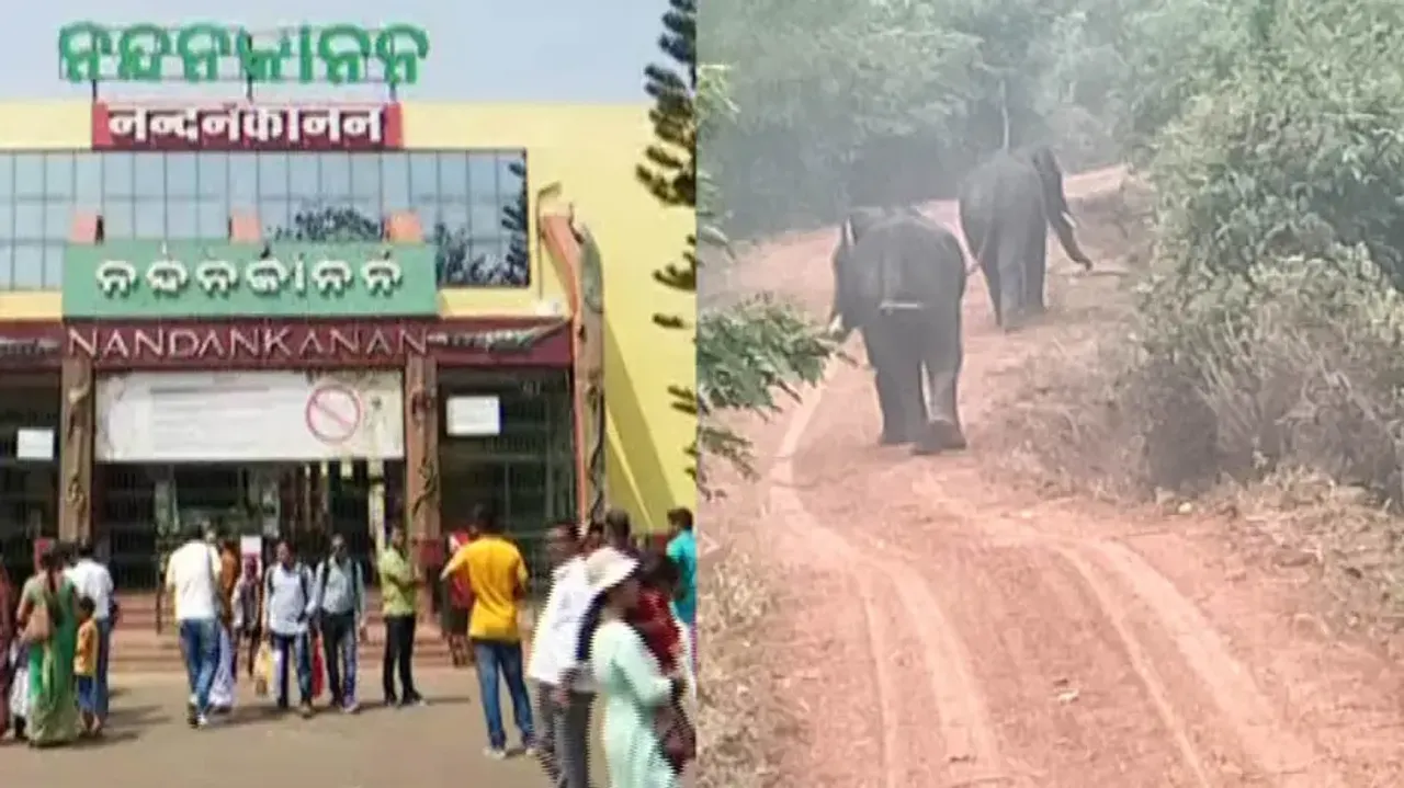 Nandankanan Zoo