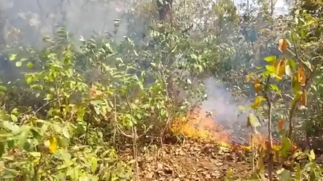 Forest Fire Breaks Out In Tinikosia Forest In Odisha's Balasore