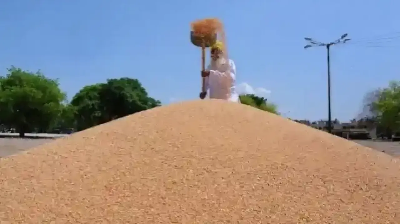 India Looking Beyond Conventional Markets To Export Wheat