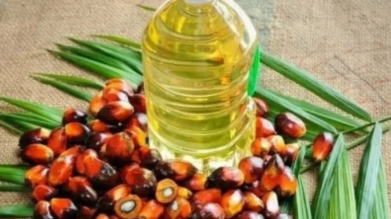 India's Palm Oil Imports Don't Need To Adhere To NDPE Policy: Govt