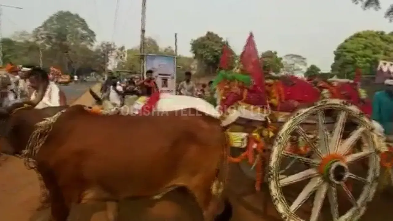 Nabakalebara Banajaga Jatra Of Lord Jagannath In Dhenkanal Sparks Controversy