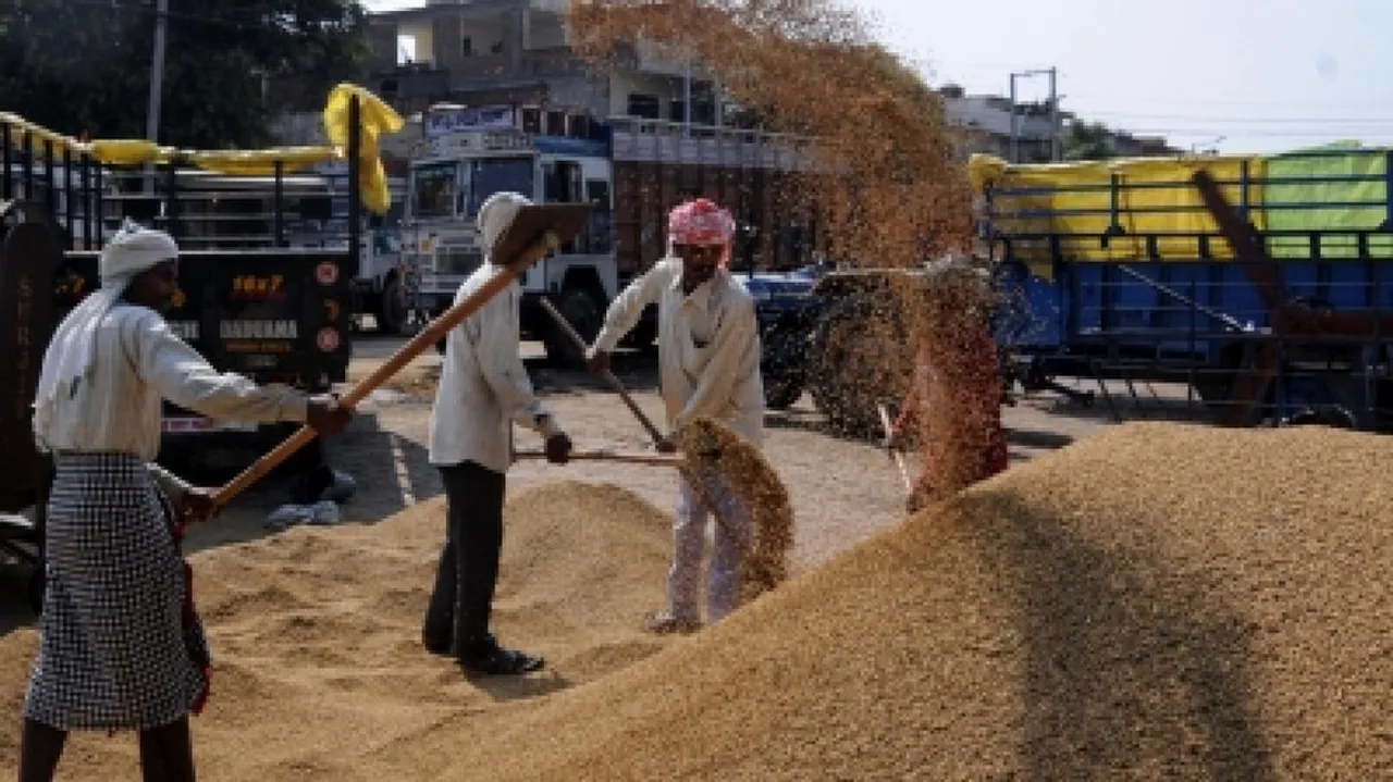 A Paddy Mandi In Odisha
