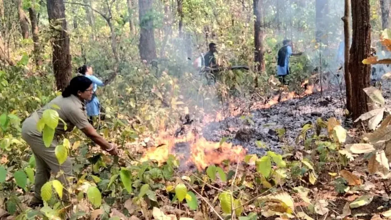 As Fire Continues To Rage In Odisha's Similipal National Park Wild Animals Enter Human Habitation