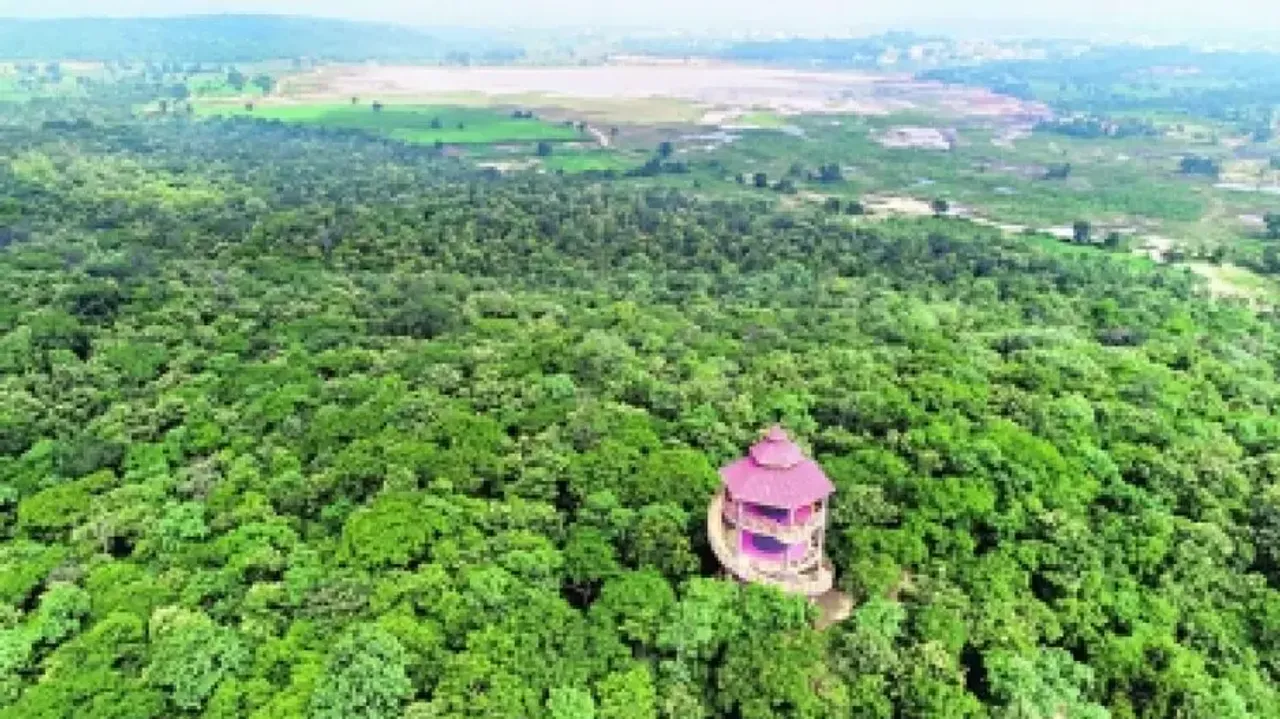 Hyderabad Gets 'Tree City Of The World Tag' For Second Year