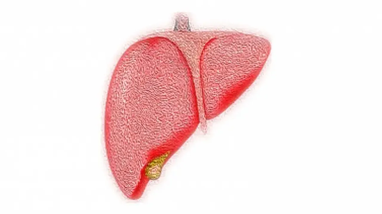 Fatty liver likely causing a surge in serious liver diseases in India