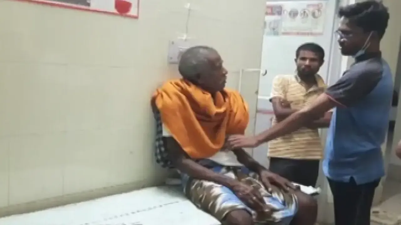 livestock injections