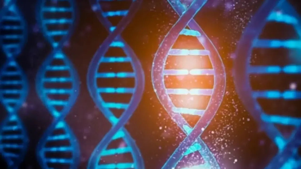 Genes can affect our nutrient tolerance: Study