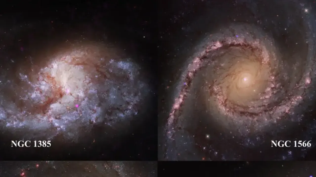 NASA's Chandra telescope finds location of medium-sized black holes