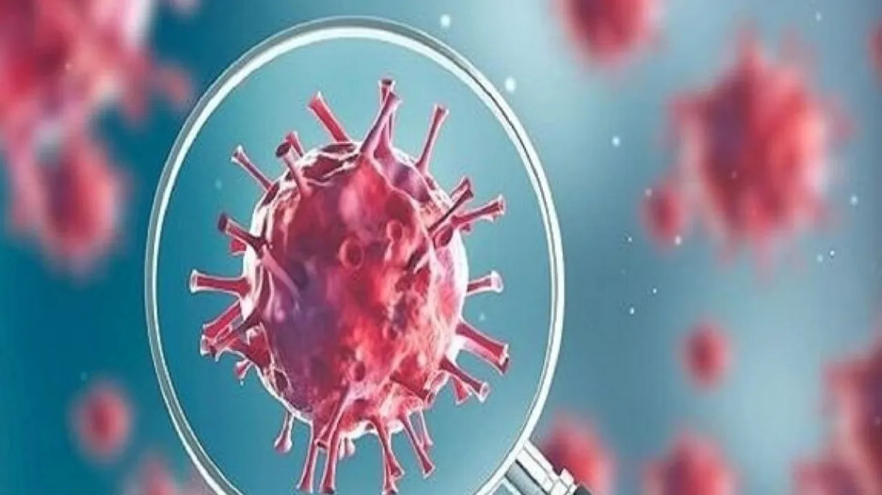 Coronavirus