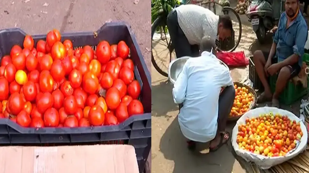 Tomato Prices Up In Odisha