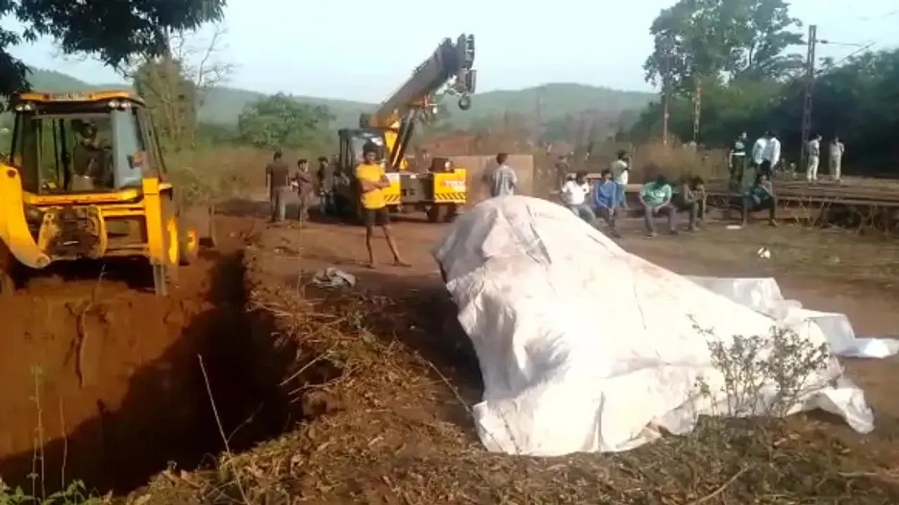 Three elephants die after being hit by train in Odisha's Keonjhar