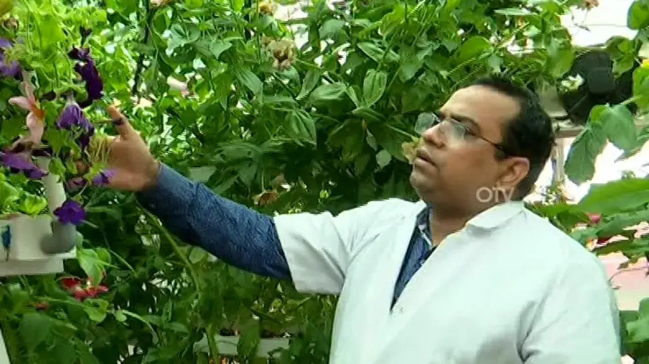 Professor in Odisha's Ravenshaw grows flowers without soil