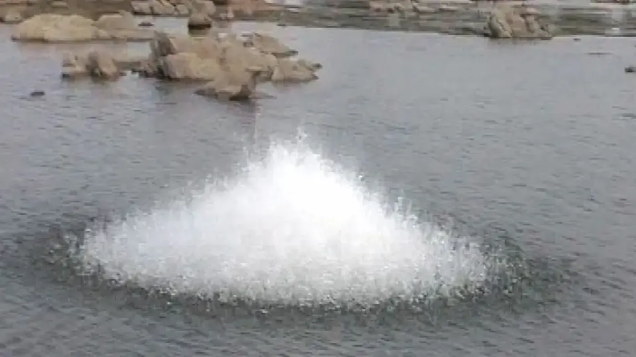 Illegal blast fishing destroying Mahanadi ecosystem in Sonepur