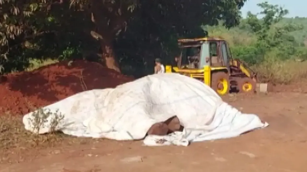 Keonjhar jumbo deaths: Show-cause notice issued to DRM, ranger