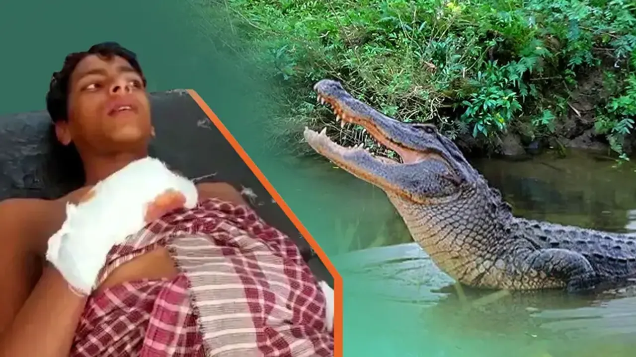 14-year old Kendrapara boy fights off giant crocodile, frees himself from its mouth 