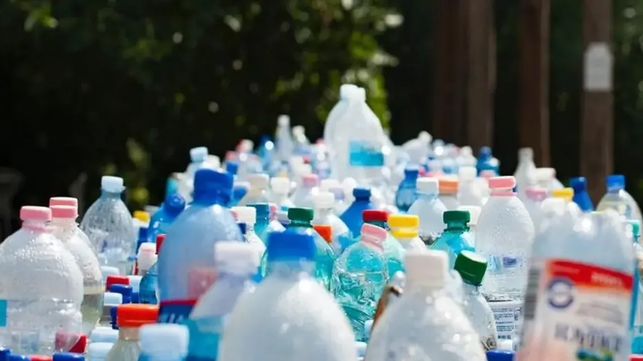 World Environment Day: How are plastic pet bottles recycled into clothing?